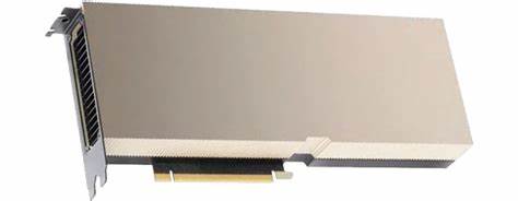 Pny Nvidia A10 HPc GPU 24GB Hbm2 Ecc 3072-Bit; Pci Express Gen 4; 2-Slot Full Height: 165 W