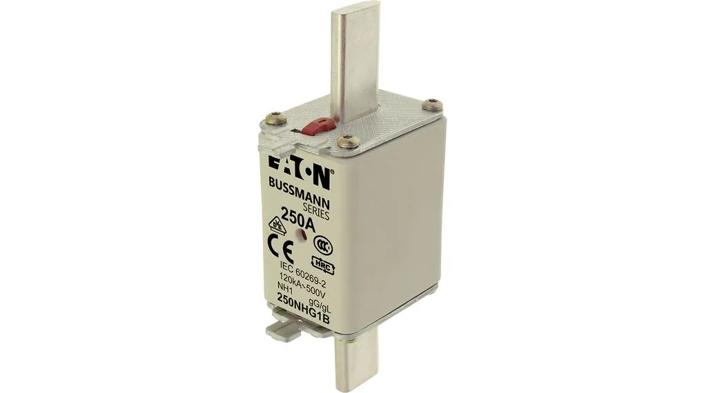 RCT Fuse 250A 500V Nh1